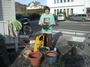 Her planter Ellen nye blomster for å pynte opp rundt Fønixhuset. Ho er ein av dei mange som har møtt opp til dugnad i dag.